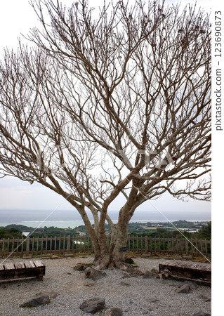 Okinawa Prefecture, Nakijin Castle Ruins, a corner of Onaihara 123690873