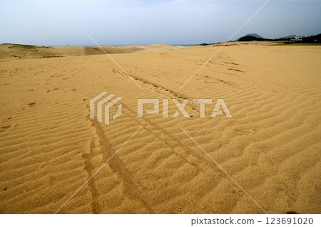Tottori four seasons walk summer Tottori sand dunes Tottori four seasons walk summer Tottori sand dunes 123691020