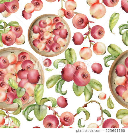 Cranberry lingonberry on ceramic plate, green leaves, hand drawn in watercolor, scattered ripe red forest berry. Isolated seamless pattern. Patchwork, dessert cafe menu, farmers market, home preserves Cranberry lingonberry on ceramic plate, green leaves, hand drawn in watercolor, scattered ripe red forest berry. Isolated seamless pattern. Patchwork, dessert cafe menu, farmers market, home preserves 123691160