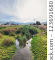 Small River with Green Grass and Reeds near City and Mountains in Gazipasa Turkey 123691680