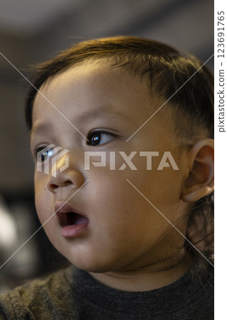 Indoor Portrait Of Toddler, Background for advertising and wallpaper in food and drink lifestyle scene. 123691765
