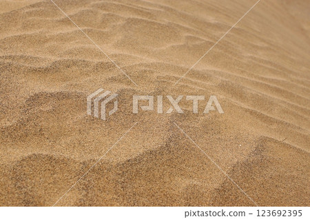 Tottori four seasons walk summer Tottori sand dunes Tottori four seasons walk summer Tottori sand dunes 123692395