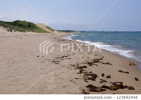 鳥取四季漫步夏季鳥取沙丘 123692448