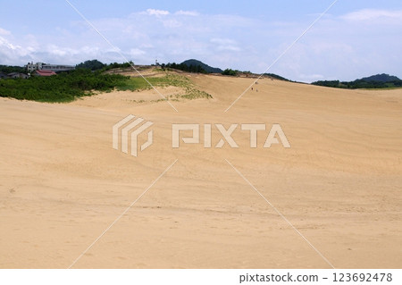 Tottori four seasons walk summer Tottori sand dunes 123692478