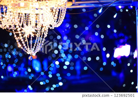 Illumination of Enoshima 123692501
