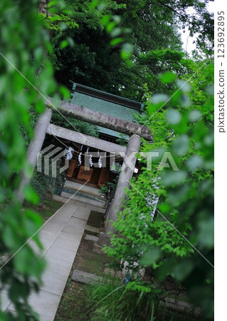 Shrine in Chofu 123692895
