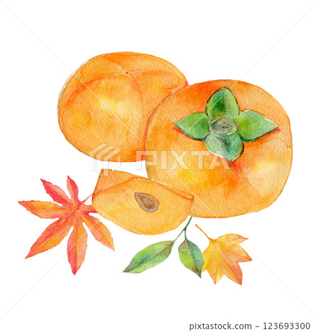 水彩插圖：成熟的柿子和秋葉 123693300