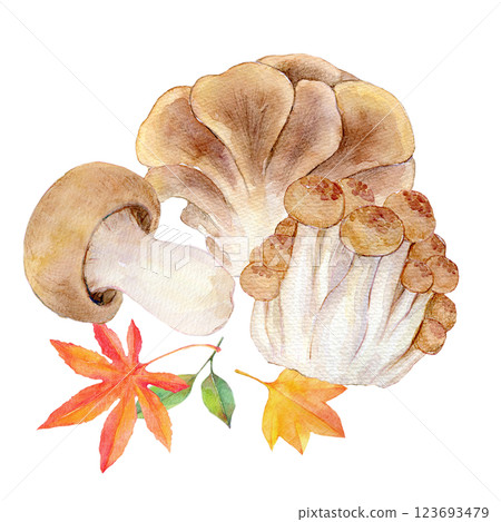 Watercolor illustration: Autumn taste: Mushroom set 123693479