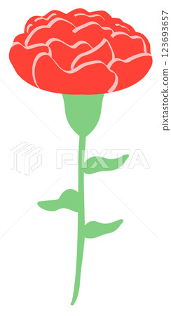 向上紅色康乃馨(無線條) 向上紅色康乃馨(無線條) 123693657