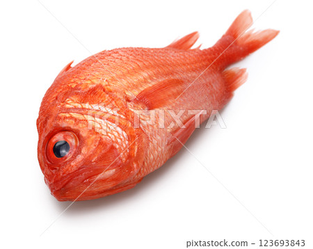 從斜上方俯瞰戎台 123693843