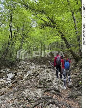 Tourists climb to the top of the mountain through the green forest on a journey 123693854