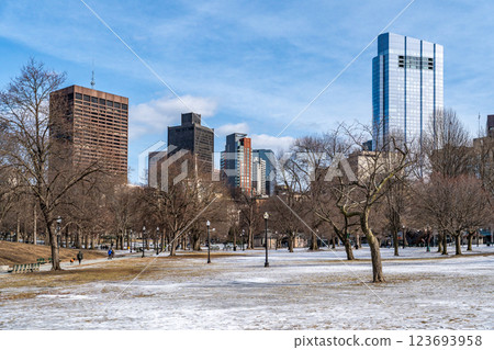 Boston cityscape against beautiul winter blue sky with soft white clouds seen from Boston Common park 123693958