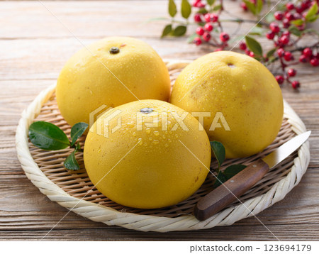 來自高知縣的土佐文旦 來自高知縣的土佐文旦 123694179