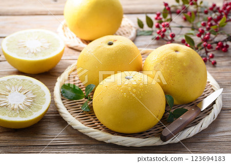 Tosa Buntan from Kochi Prefecture 123694183