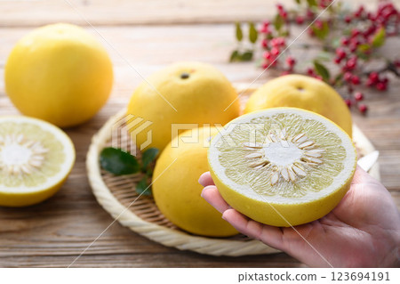 來自高知縣的土佐文旦 來自高知縣的土佐文旦 123694191