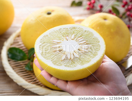 來自高知縣的土佐文旦 123694195