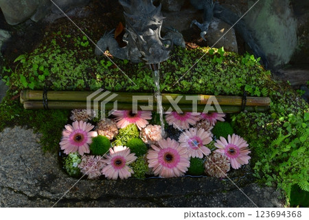 Kyoto Hakka Shrine Kyoto Hakka Shrine 123694368