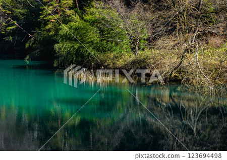 [近江川] 神秘的河流 [東築摩郡生坂村] 123694498
