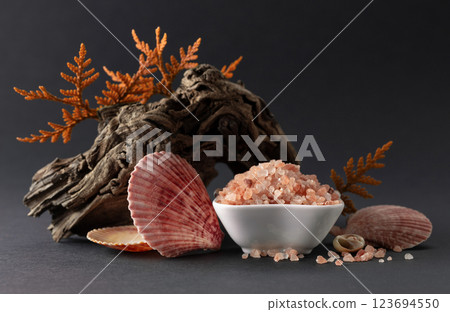 Pink himalayan salt with snags, thuja branches, and seashells. Pink himalayan salt with snags, thuja branches, and seashells. 123694550