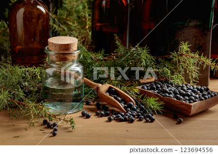 Juniper tincture with berries and branches. 123694556