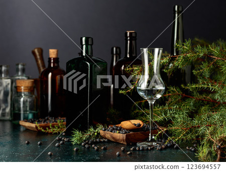Juniper tincture with berries and branches. 123694557
