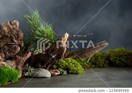 Northern natural composition with lichen, moss, pine branches and driftwood. 123694568