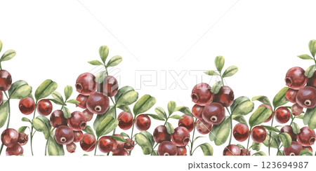 Red berries watercolor seamless border. Cranberries branches with green leaves and fruits banner for product packing, textile, fabric design. Forest organic food, healthy vegan diet 123694987