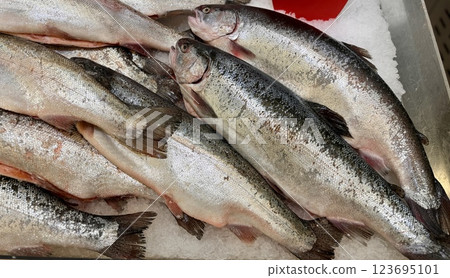 Raw steaks of rainbow trout chilled on shallow ice at the seafood market. An open shelf at the fish market 123695101