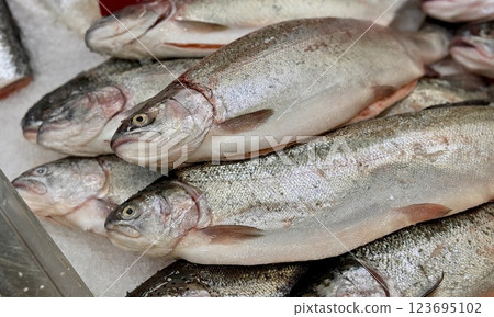 Raw steaks of rainbow trout chilled on shallow ice at the seafood market. An open shelf at the fish market 123695102