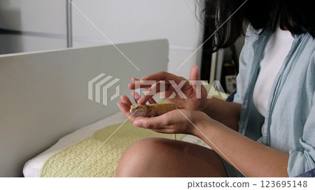 gecko, carefully cradled in human hands, illustrates the connection between the natural world and domestic life. This moment highlights the delicate balance of care, trust, and companionship. gecko, carefully cradled in human hands, illustrates the connection between the natural world and domestic life. This moment highlights the delicate balance of care, trust, and companionship. 123695148