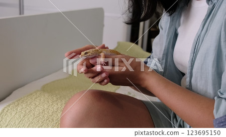 A calm gecko rests in the gentle hands of its owner, reflecting the nurturing care and bond between human and exotic pet. This image evokes a sense of tranquility and mutual trust. A calm gecko rests in the gentle hands of its owner, reflecting the nurturing care and bond between human and exotic pet. This image evokes a sense of tranquility and mutual trust. 123695150