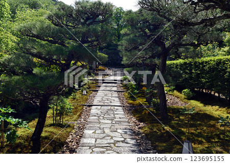 綠樹環繞的圓光寺 綠樹環繞的圓光寺 123695155