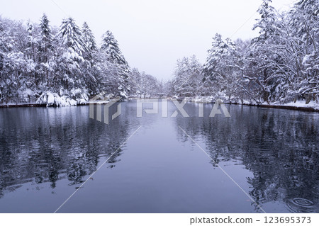 冬季的輕井澤：白雪皚皚的雲場池 123695373