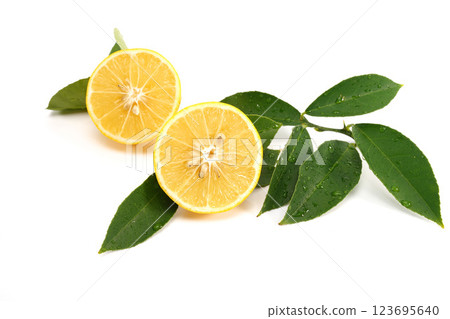 Organic lemon fruit cut in half isolated on white background. 123695640