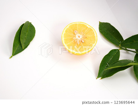 Organic lemon fruit cut in half isolated on white background. Organic lemon fruit cut in half isolated on white background. 123695644