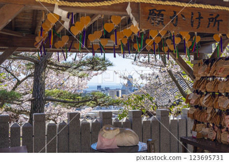 Spring in Kobe: Kitano Tenmangu Shrine - Cherry blossoms in full bloom and a place to make wishes 123695731
