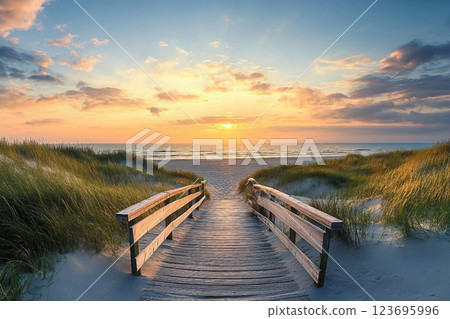 Panoramic view of dunes along the North Sea 123695996