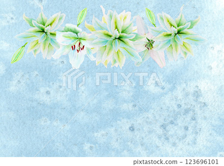 White lily flower garland watercolor illustration on light blue. High quality clip art perfect for cards, posters, stickers, Easter, Passover, Holy Thursday, christening baptism wedding church decor 123696101