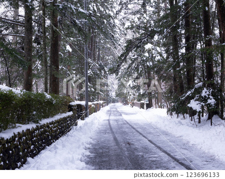 冬季的輕井澤：白雪皚皚的萬平街 123696133