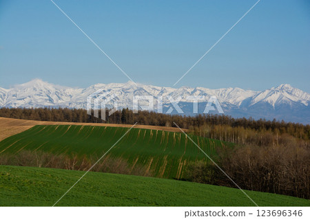 綠色的草地和白雪覆蓋的山脈,在陽光明媚的春日 綠色的草地和白雪覆蓋的山脈,在陽光明媚的春日 123696346