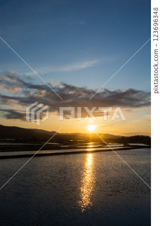 倒映夕陽的春天稻田 倒映夕陽的春天稻田 123696348