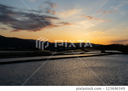 倒映夕陽的春天稻田 123696349
