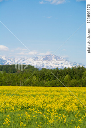 降雪Daisetsuzan春天草原和山 123696376