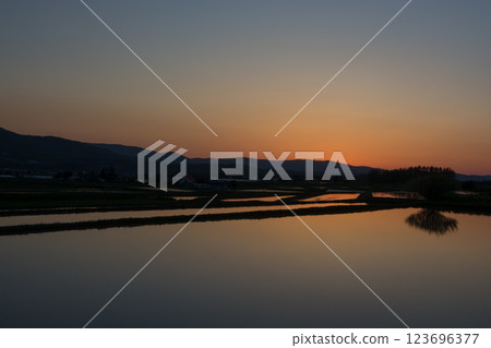 Paddy fields reflecting the sunset Paddy fields reflecting the sunset 123696377