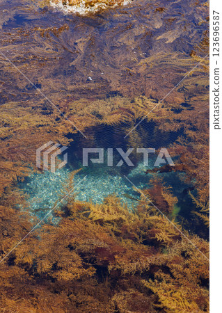 The crystal clear waters of Cape Tappi (Aomori Prefecture) The crystal clear waters of Cape Tappi (Aomori Prefecture) 123696587