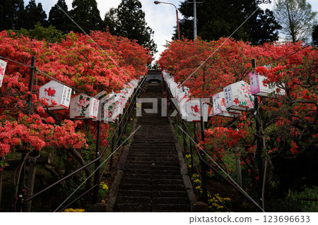 七戶町（天王神社）的山杜鵑 123696633