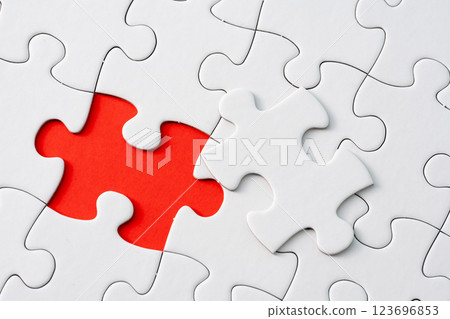 Jigsaw puzzle 123696853