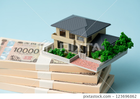 House model, money, real estate 123696862