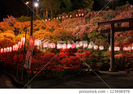 天王神社山杜鵑花點燈活動(青森縣七戶町) 天王神社山杜鵑花點燈活動(青森縣七戶町) 123696976