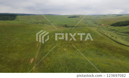 豐臣町大規模草地養殖場 123697082